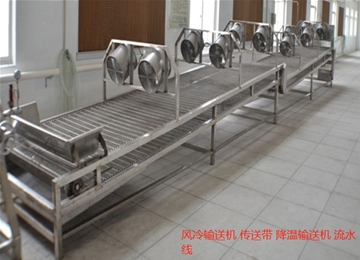 鏈網(wǎng)降溫輸送機